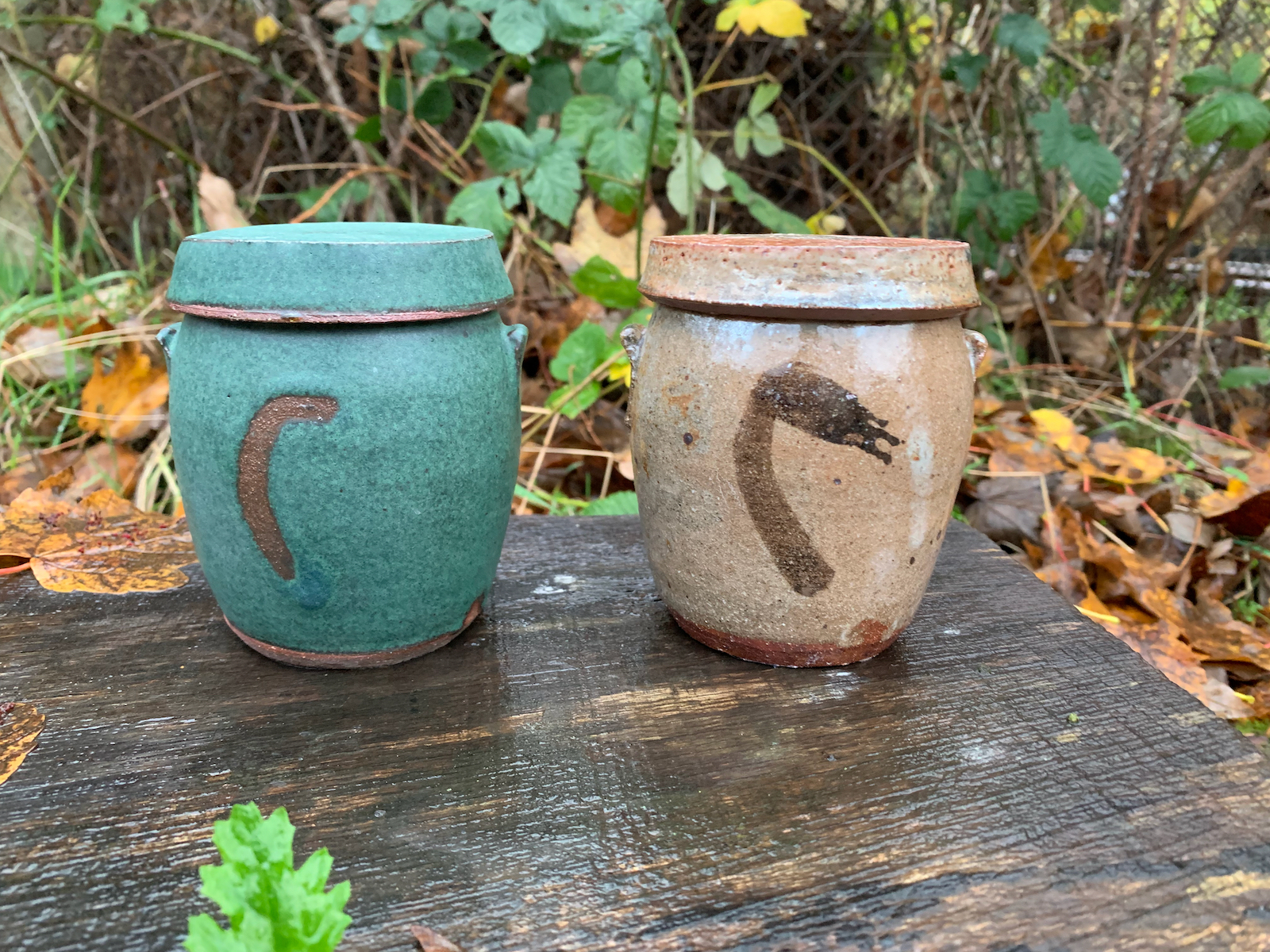 two jars with flat tops, high rounded bodies and small lugs on either
           side of the body. One is matte green, the other a slightly shinier brownish pink. 
           Both have a curved line decoratively in the center