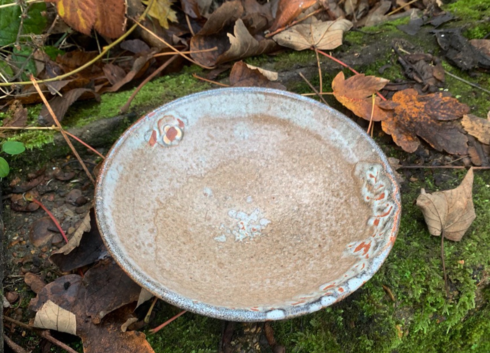 a wide, shallow bowl 
        with a light brown/cream glaze. The bowl sits on a mossy stone with dry leaves around it.