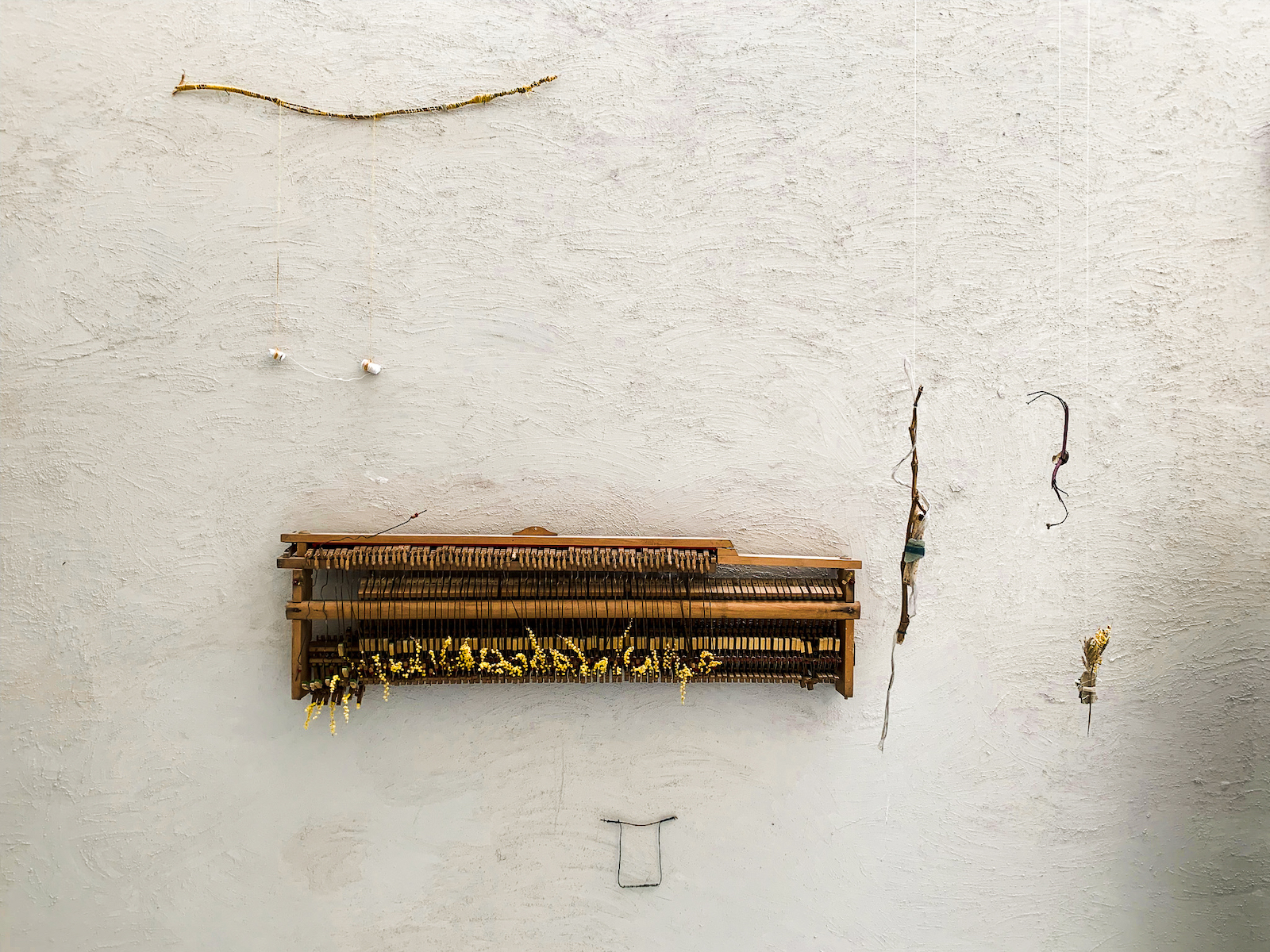 the manual of a piano with yellow flowers in each of the 
      hammers. The piano action is against a rough brownish-cream textured background with small sculptures hanging from the walls
      around it